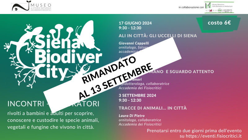 Tracce di Animali… In Città