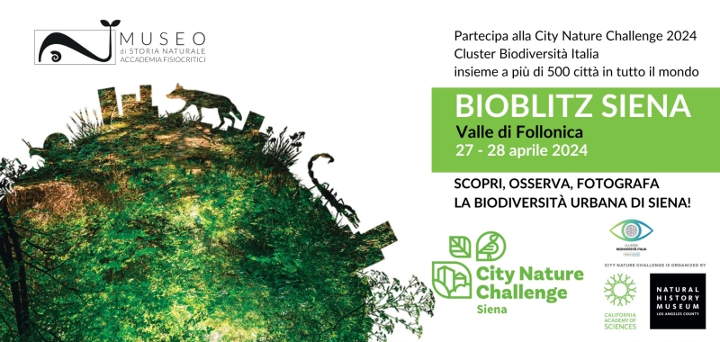 BioBlitz Siena 2024