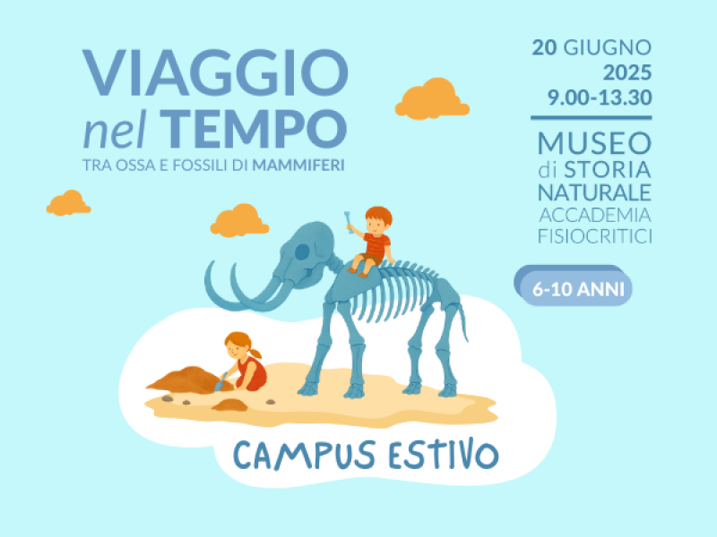 Viaggio nel tempo: Tra ossa e fossili di mammiferi